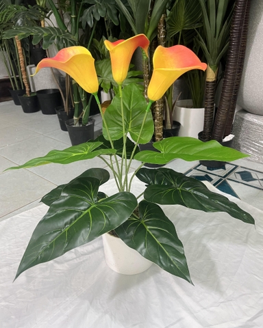 CÂY HOA RUM TRANG TRÍ 50CM