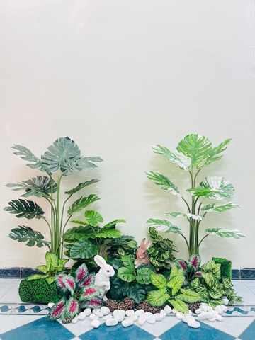 CÂY TRẦU BÀ LÁ XẺ HẰNG DECOR (90CM ,1M2)