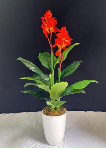 CÂY HOA DONG ĐỎ TRANG TRÍ HẰNG DECOR 1M2