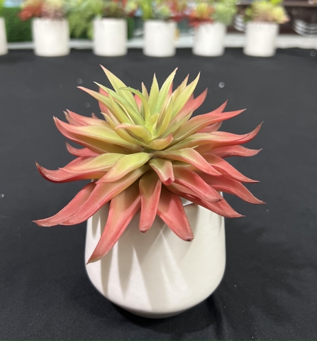 Chậu sen đá lá nhọn giả 15cm