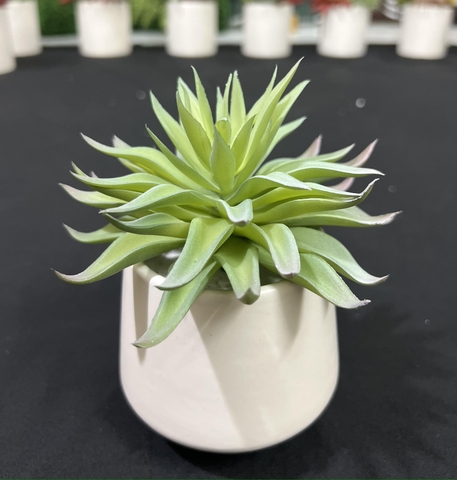 Chậu sen đá lá nhọn giả 15cm