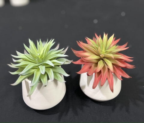 Chậu sen đá lá nhọn giả 15cm
