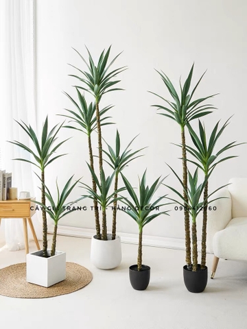 CÂY PHÁT TÀI NÚI GIẢ TRANG TRÍ HẰNG DECOR (1M ,1M2,1M4,1M6,1M8)