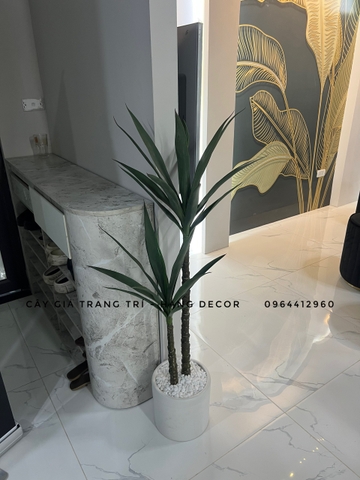 CHẬU CÂY PHÁT TÀI NÚI GIẢ 1M2 KÈM CHẬU XI
