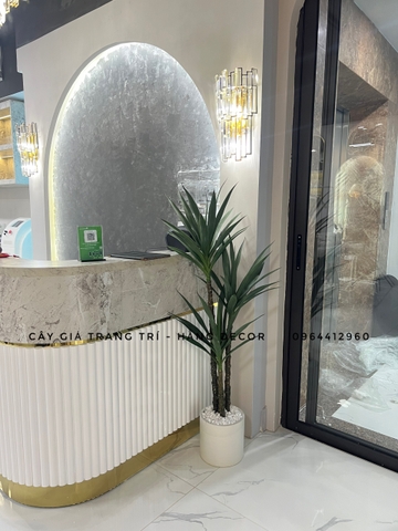 CÂY PHÁT TÀI NÚI GIẢ TRANG TRÍ HẰNG DECOR (1M ,1M2,1M4,1M6,1M8)