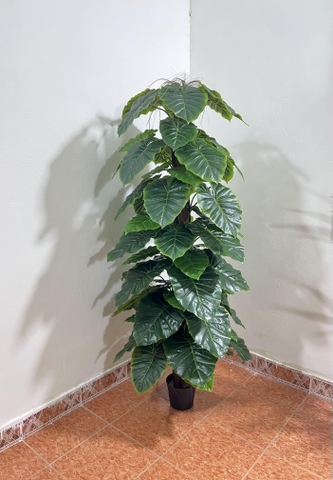 CÂY TRẦU BÀ CỘT HẰNG DECOR  63 LÁ (1M5)