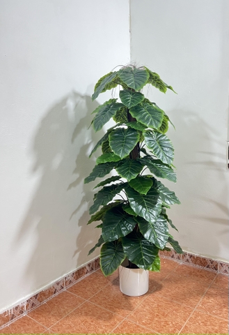 CÂY TRẦU BÀ CỘT HẰNG DECOR  63 LÁ (1M5)