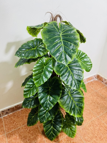 CÂY TRẦU BÀ CỘT HẰNG DECOR  63 LÁ (1M5)