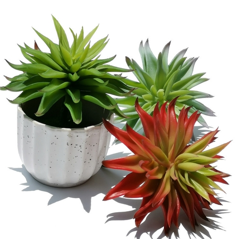 Chậu sen đá lá nhọn giả 15cm