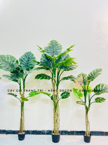 CÂY TRẦU BÀ NAM MỸ GIẢ TRANG TRÍ(1M4, 1M6, 1M9)
