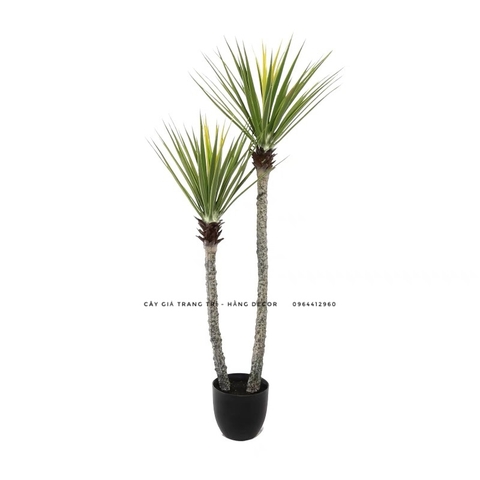 CÂY PHÁT TÀI NÚI THÂN TRẮNG GIẢ HẰNG DECOR (1M1, 1M4)