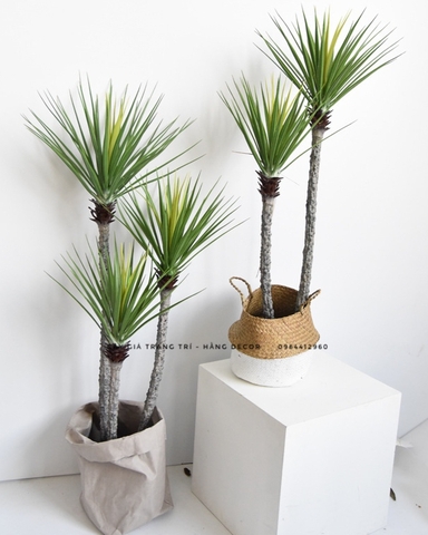 CÂY PHÁT TÀI NÚI THÂN TRẮNG GIẢ HẰNG DECOR (1M1, 1M4)