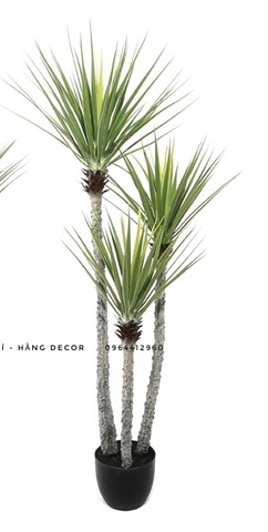 CÂY PHÁT TÀI NÚI THÂN TRẮNG GIẢ HẰNG DECOR (1M1, 1M4)