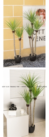 CÂY PHÁT TÀI NÚI THÂN TRẮNG GIẢ HẰNG DECOR (1M1, 1M4)