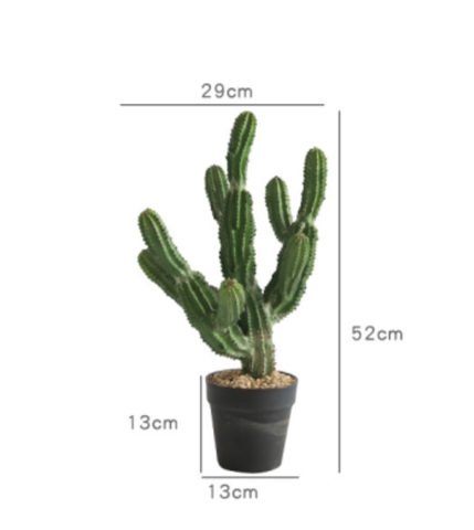 CÂY XƯƠNG RỒNG NHIỀU NHÁNH GIẢ (55CM, 85CM)