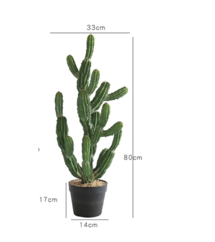 CÂY XƯƠNG RỒNG NHIỀU NHÁNH GIẢ (55CM, 85CM)