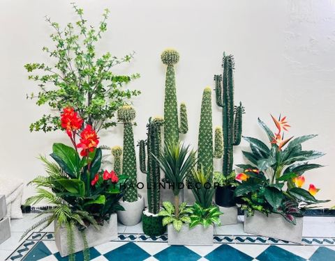 CÂY HOA DONG ĐỎ TRANG TRÍ HẰNG DECOR 1M2