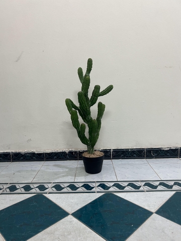 CÂY XƯƠNG RỒNG NHIỀU NHÁNH GIẢ (55CM, 85CM)