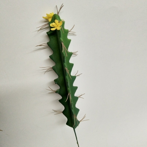 CÂY XƯƠNG RỒNG NHỎ TRANG TRÍ(20CM,30CM)
