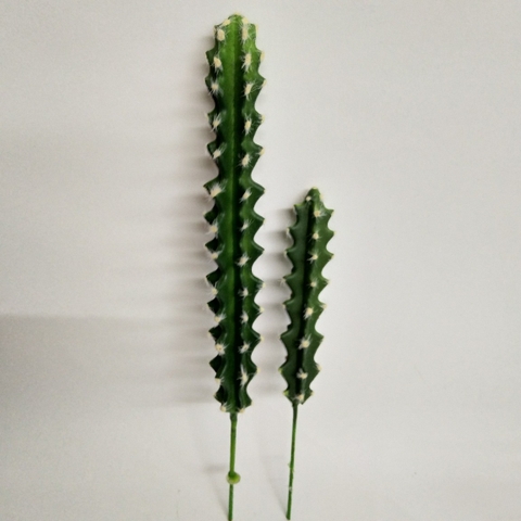 CÂY XƯƠNG RỒNG NHỎ TRANG TRÍ(20CM,30CM)
