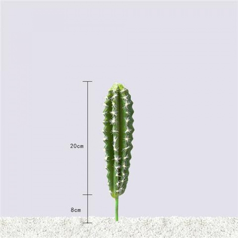 CÂY XƯƠNG RỒNG NHỎ TRANG TRÍ(20CM,30CM)