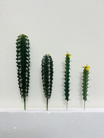 CÂY XƯƠNG RỒNG NHỎ TRANG TRÍ(20CM,30CM)