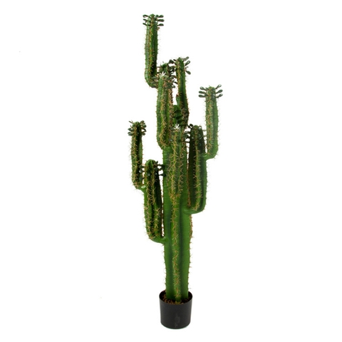 CÂY XƯƠNG RỒNG MÚI XANH GIẢ 4 TAY (1M55)