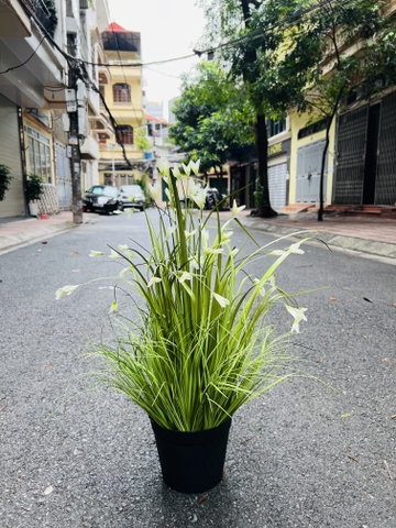 BÚI CỎ HOA LAU GIẢ TRANG TRÍ 70CM