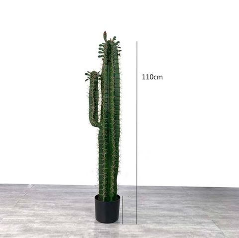 CÂY XƯƠNG RỒNG MÚI XANH GIẢ (85CM, 1M1, 1M5)