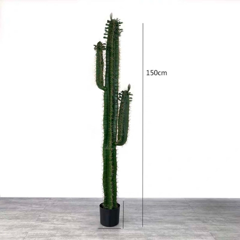 CÂY XƯƠNG RỒNG MÚI XANH GIẢ (85CM, 1M1, 1M5)