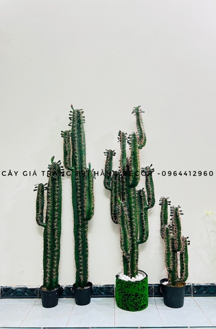 CÂY XƯƠNG RỒNG MÚI XANH GIẢ 4 TAY (1M55)
