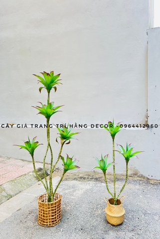 CÂY BÔNG SÚNG GIẢ HẰNG DECOR (1M1, 1M6)