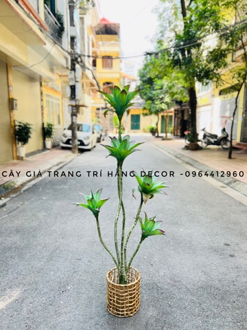 CÂY BÔNG SÚNG GIẢ HẰNG DECOR (1M1, 1M6)