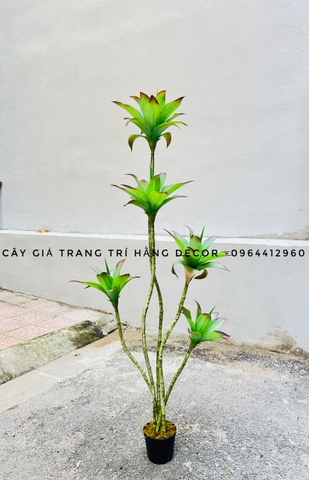 CÂY BÔNG SÚNG GIẢ HẰNG DECOR (1M1, 1M6)