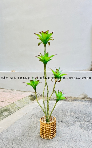 CÂY BÔNG SÚNG GIẢ HẰNG DECOR (1M1, 1M6)