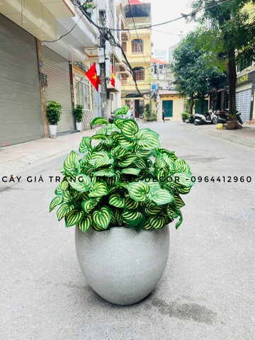CHẬU CÂY SỌC DƯA HẤU GIẢ HẰNG DECOR (43CM)