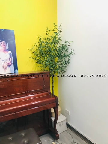 CÂY OLIU GIẢ TRANG TRÍ HẰNG DECOR 1M65