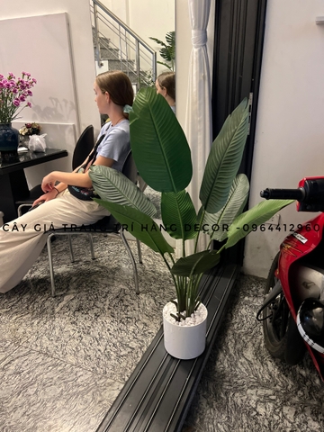 CÂY CHUỐI RẺ QUẠT TRANG TRÍ HẰNG DECOR 1M8(3 nhánh-12 lá)