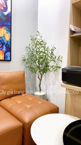 CÂY OLIU GIẢ TRANG TRÍ HẰNG DECOR 1M3