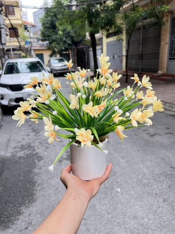 CHẬU HOA TÓC TIÊN GIẢ ĐẶT BÀN 30CM