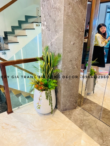 CÂY LƯỠI HỔ GIẢ HẰNG DECOR (80CM, 1M)