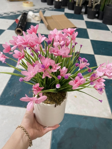CHẬU HOA TÓC TIÊN GIẢ ĐẶT BÀN 30CM