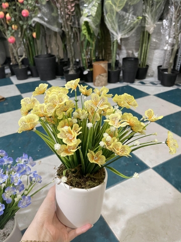 CHẬU HOA CÁNH BƯỚM GIẢ ĐẶT BÀN 30CM
