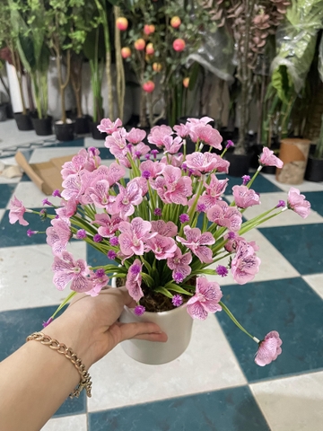 CHẬU HOA CÁNH BƯỚM GIẢ ĐẶT BÀN 30CM