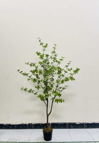 CÂY THẠCH NAM GIẢ TRANG TRÍ HẰNG DECOR (1M5, 1m7)