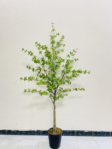 CÂY THẠCH NAM GIẢ TRANG TRÍ HẰNG DECOR (1M5, 1m7)