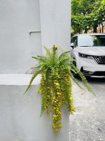 Giỏ dương sỉ rủ giả 70cm