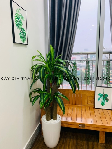 CÂY THIẾT MỘC LAN GIẢ HẰNG DECOR (1M2)