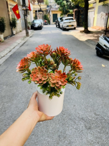 CHẬU CÂY HOA ĐÁ GIẢ ĐẶT BÀN 30CM