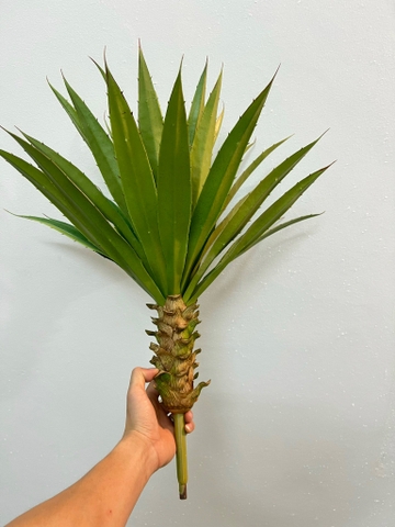 CÂY DỨA GAI GIẢ TRANG TRÍ 60CM